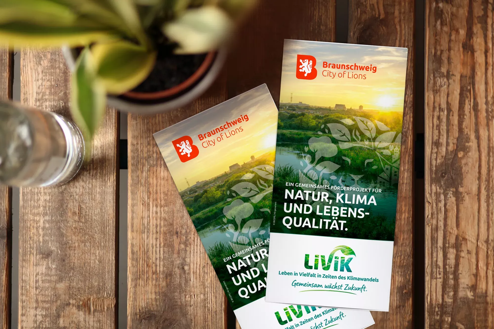 LiViK Flyer im neuen Corporate Design des Förderprojekts