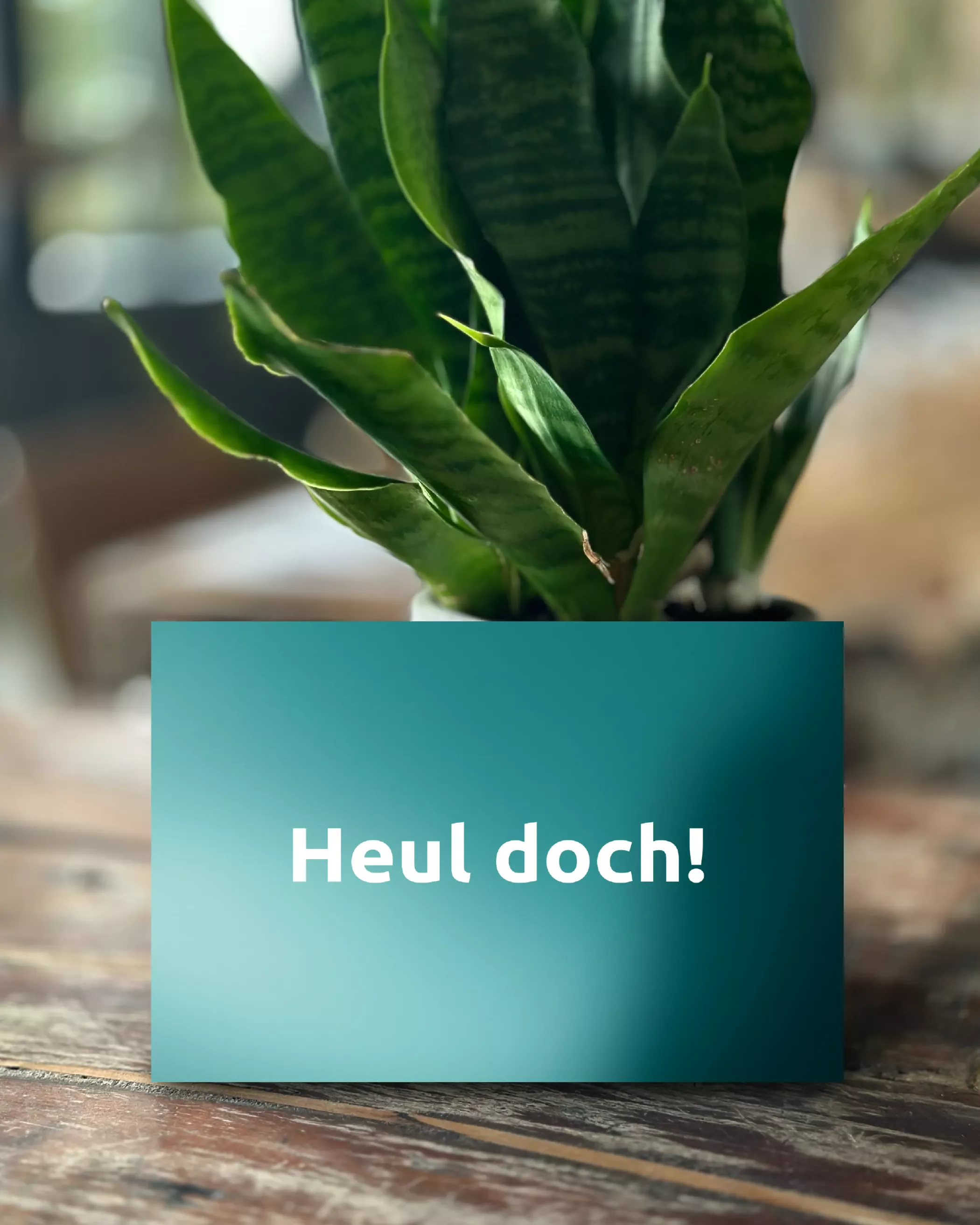 Karte mit dem Schriftzug „Heul doch!“ vor einer Pflanze, als humorvolles Element aus der Sirenenwarnsystem-Kommunikation der Kampagne zur Beteiligung der Bürger:innen.